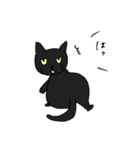 くろねこのきもち（個別スタンプ：27）