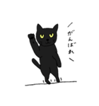 くろねこのきもち（個別スタンプ：32）