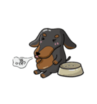 wiener dog（個別スタンプ：5）