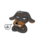 wiener dog（個別スタンプ：8）