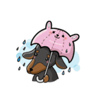 wiener dog（個別スタンプ：9）