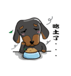 wiener dog（個別スタンプ：12）