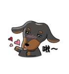 wiener dog（個別スタンプ：13）