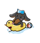 wiener dog（個別スタンプ：14）