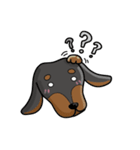 wiener dog（個別スタンプ：18）