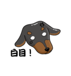 wiener dog（個別スタンプ：19）