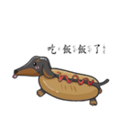 wiener dog（個別スタンプ：31）