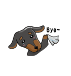 wiener dog（個別スタンプ：32）