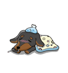 wiener dog（個別スタンプ：33）