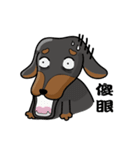 wiener dog（個別スタンプ：34）