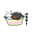 wiener dog（個別スタンプ：38）