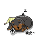 wiener dog（個別スタンプ：40）