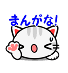 大阪の野良猫2♪（個別スタンプ：24）