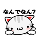 大阪の野良猫♪（個別スタンプ：3）
