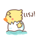 Pednoii little duck（個別スタンプ：33）