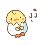 Pednoii little duck（個別スタンプ：40）