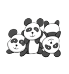 Panda Various Faces（個別スタンプ：18）