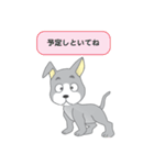 確認ワンちゃん（個別スタンプ：3）