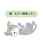確認ワンちゃん（個別スタンプ：5）