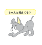 確認ワンちゃん（個別スタンプ：8）