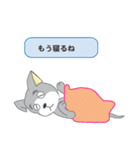 確認ワンちゃん（個別スタンプ：16）
