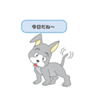 確認ワンちゃん（個別スタンプ：17）