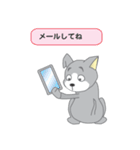 確認ワンちゃん（個別スタンプ：19）