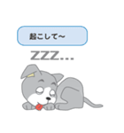 確認ワンちゃん（個別スタンプ：20）