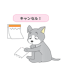 確認ワンちゃん（個別スタンプ：24）