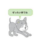 確認ワンちゃん（個別スタンプ：28）