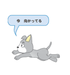 確認ワンちゃん（個別スタンプ：29）