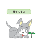確認ワンちゃん（個別スタンプ：30）