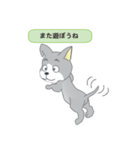 確認ワンちゃん（個別スタンプ：35）