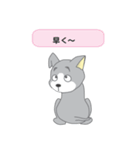 確認ワンちゃん（個別スタンプ：39）