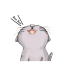 AdMaewMLP Cat（個別スタンプ：1）