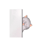 AdMaewMLP Cat（個別スタンプ：2）