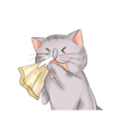 AdMaewMLP Cat（個別スタンプ：17）