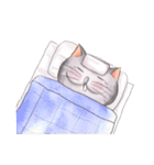 AdMaewMLP Cat（個別スタンプ：18）