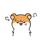 ハム'sスタンプ（個別スタンプ：16）