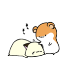 ハム'sスタンプ（個別スタンプ：39）
