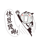 Clerk cat-the best clerk（個別スタンプ：20）