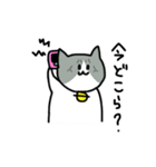 津山弁にゃんこ2（個別スタンプ：39）