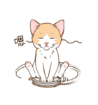 Cutee-small cat（個別スタンプ：38）