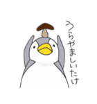 おてんばペンギン そらみ2（個別スタンプ：7）