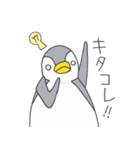 おてんばペンギン そらみ2（個別スタンプ：36）