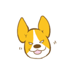 コーギーたろう2（個別スタンプ：5）