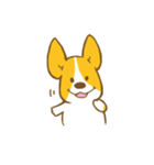 コーギーたろう2（個別スタンプ：9）