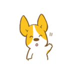 コーギーたろう2（個別スタンプ：11）