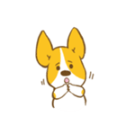 コーギーたろう2（個別スタンプ：15）
