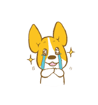 コーギーたろう2（個別スタンプ：20）